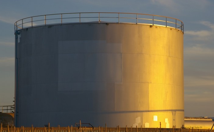 U.S. crude stocks build unexpectedly as imports jump, output climbs: EIA
