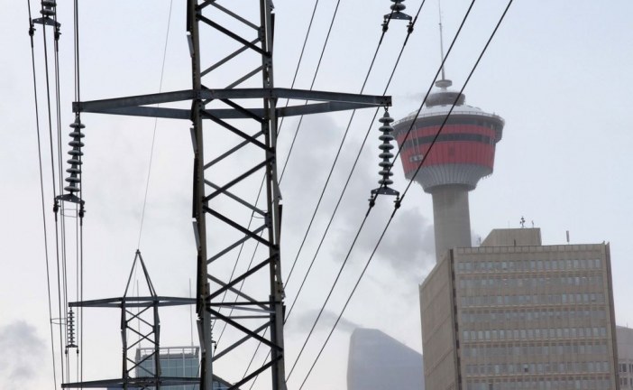 Government agency’s presence in Alberta’s power market could spook investors, report warns