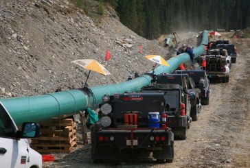 Trans Mountain pipeline approval ignored Indigenous rights, lawyers argue