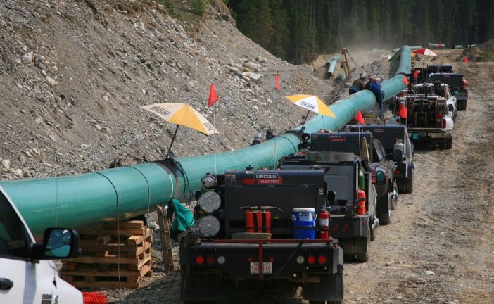 Trans Mountain pipeline approval ignored Indigenous rights, lawyers argue