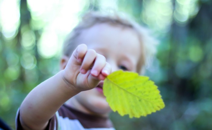 How to ‘teach green’: 4 ways you can help your kids to think sustainably