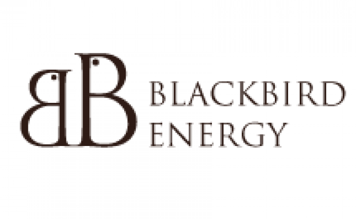 Blackbird Energy Inc. Announces Year End 2017 Reserves, Financial and Operating Results