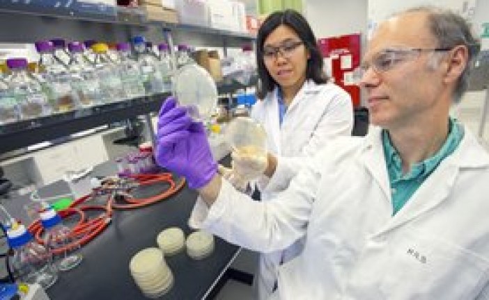 US DOE bolsters research into bioenergy