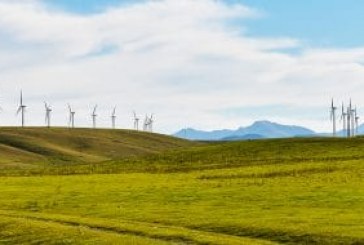 Wind energy largest source of new electricity generation for over a decade