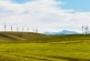 Wind energy largest source of new electricity generation for over a decade