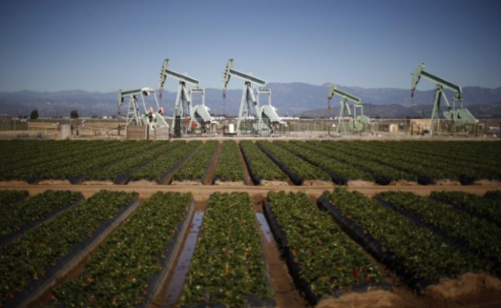 U.S. crude tops two-year high as Keystone outage hits supply