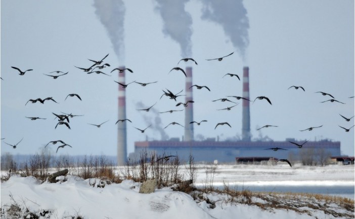 TransAlta fast-tracks green transition, expects up to $50M in carbon credit windfall