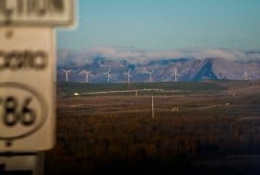 Wind energy is not a risky business for Alberta