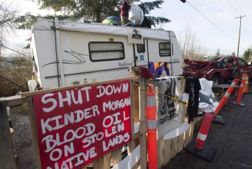 ‘This isn’t an episode of Columbo’: Burnaby lawyers grill Kinder Morgan at Trans Mountain route hearing