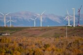 Unstoppable momentum: The wind industry rises confidently to the challenge posed by U.S. election results