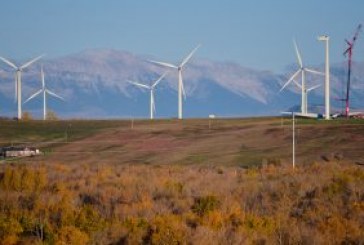 Unstoppable momentum: The wind industry rises confidently to the challenge posed by U.S. election results