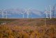 Unstoppable momentum: The wind industry rises confidently to the challenge posed by U.S. election results