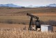 Oil firm shutting down, walking away from thousands of untended Alberta wells