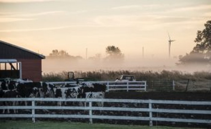 The Continuing Need for Wind Energy