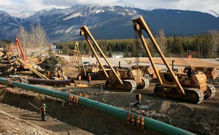 Trans Mountain pipeline on hold as pressure mounts on B.C. to drop opposition