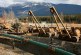 Trans Mountain pipeline on hold as pressure mounts on B.C. to drop opposition
