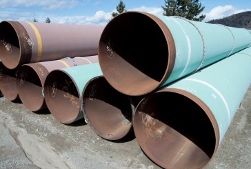 Federal government confirms it will intervene in B.C.’s Trans Mountain court case