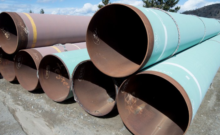 Federal government confirms it will intervene in B.C.’s Trans Mountain court case