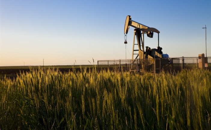 U.S. crude output to hit 12 million bpd in late 2019