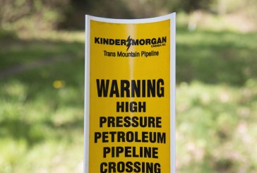 CPP Investment Board approached about Trans Mountain, but no decision yet: CEO