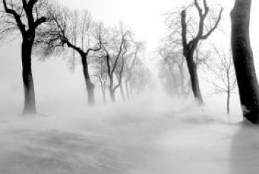 Wind turbines work hard in winter winds