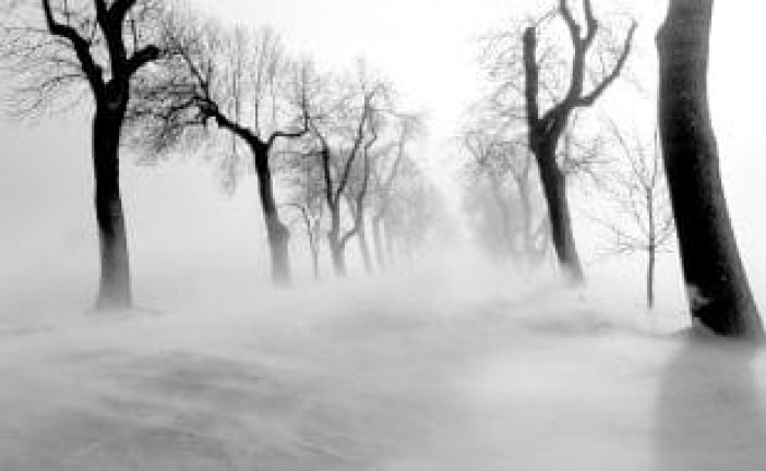 Wind turbines work hard in winter winds