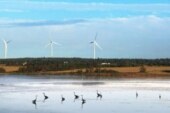 Wind energy industry working to protect birds and bats