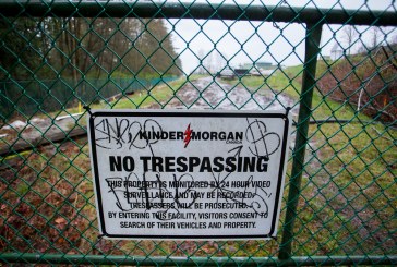 Kinder Morgan hires TD to sell Canadian business: sources