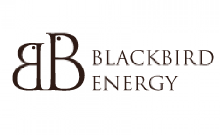 Blackbird Energy Inc. Closes CDE Flow-Through Equity Financing for Gross Proceeds of $2.3 Million