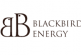 Blackbird Energy Inc. Closes CDE Flow-Through Equity Financing for Gross Proceeds of $2.3 Million