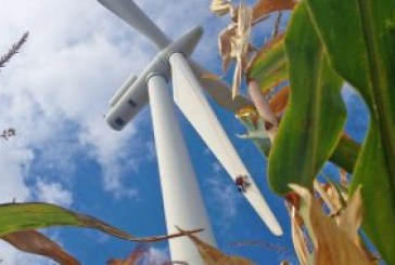 Reasons to celebrate Global Wind Day