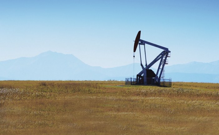 Oil falls on uncertainty over fuel demand recovery