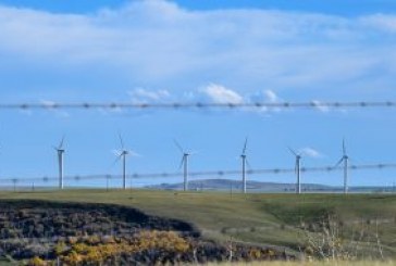 Protecting wildlife and their habitats the goal for Saskatchewan’s new wind energy adaptive management guideline