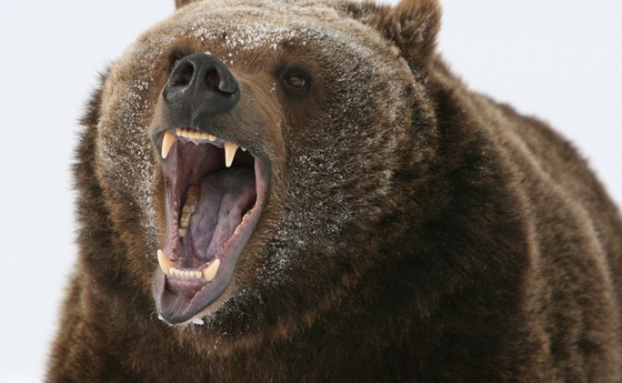 Oil headed for longest losing streak on record after falling into bear market