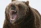 Oil headed for longest losing streak on record after falling into bear market