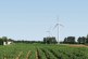 Study after study says that wind energy has little impact on long-term property values