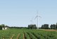 Study after study says that wind energy has little impact on long-term property values