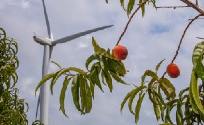 IESO conference tackles role of clean power like wind energy in market renewal