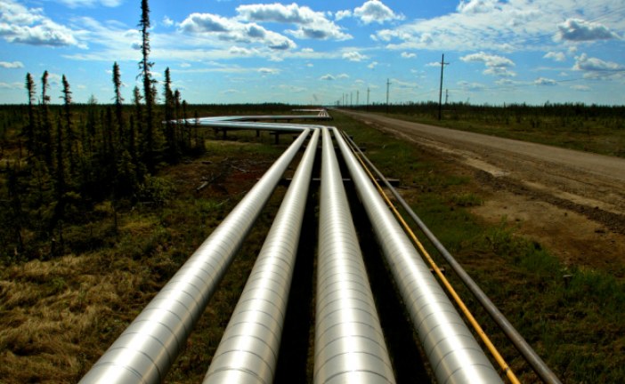 Back from the dead: Notley’s oil cut sends Canadian crude prices, energy stocks skyrocketing