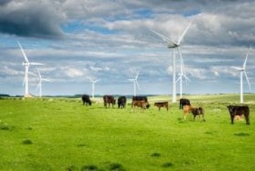 Wind farms and land use