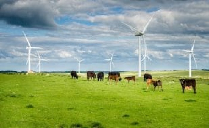 Wind farms and land use