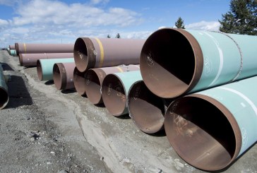 Construction firms fear gridlock as Ottawa delays decision on Trans Mountain pipeline