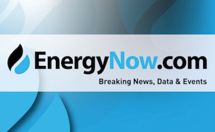 Four more people opposed to northern B.C. gas pipeline arrested: police