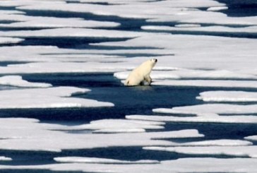 ‘Most critical problem we’re facing:’ Medical groups urge climate change action