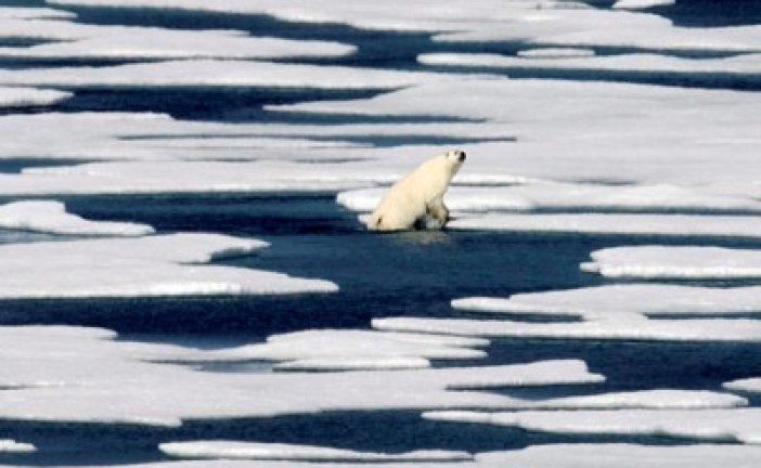 ‘Most critical problem we’re facing:’ Medical groups urge climate change action