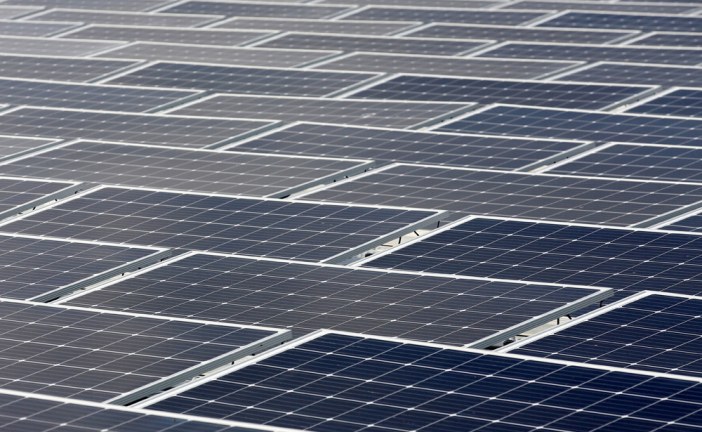 Global renewable energy capacity to rise by 50% in five years as solar panels go mainstream: IEA