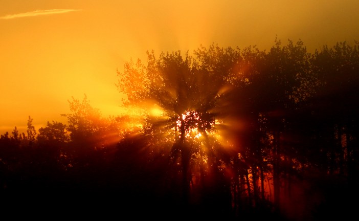 Solar power is the red-hot growth area in oil-rich Alberta