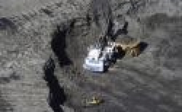 Curtailments boost Canadian Natural’s profit, but company still wants Alberta to scrap production limits