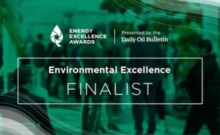 Energy Excellence Awards: Environmental finalists bridging the gaps to address air emissions across the industrial spectrum