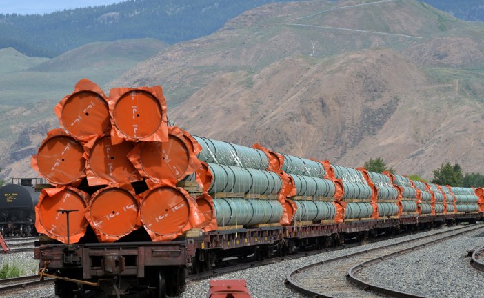 Trans Mountain pipeline resumes operations after oil spill in B.C.